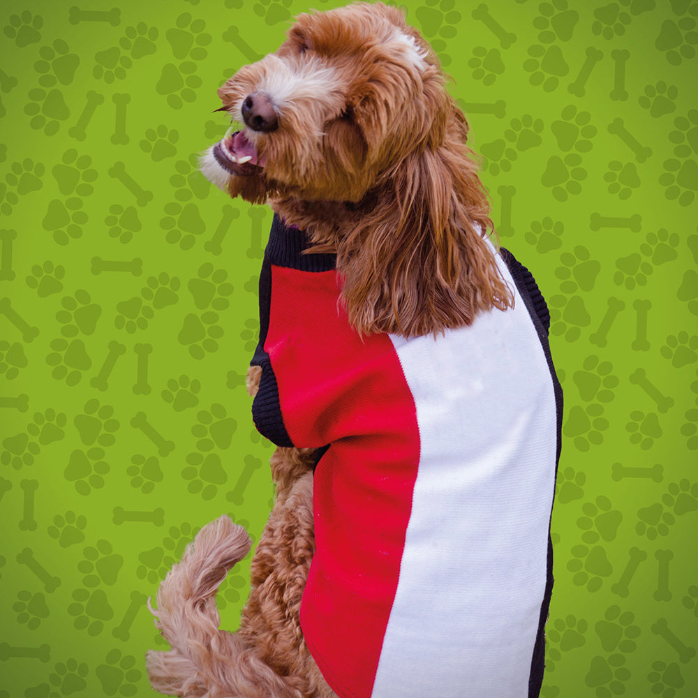 Richmond tigers best sale dog jumper